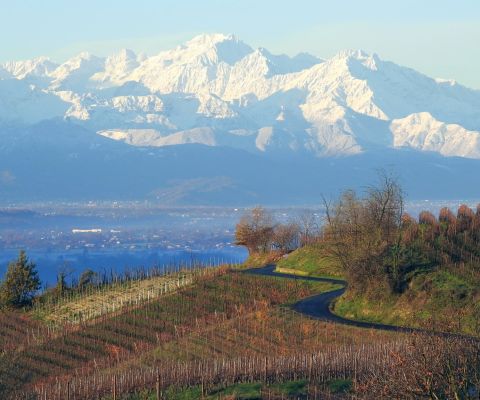 La porta delle Langhe